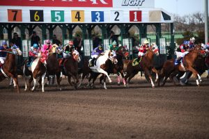 Verified Popular Horse Racing Betting Apps India 2027 Review 2026: Bonus, App, Withdrawal Tested